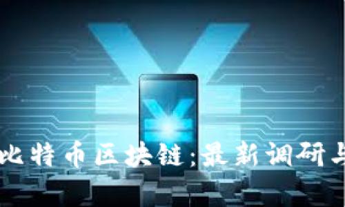 深入解析比特币区块链：最新调研与未来展望